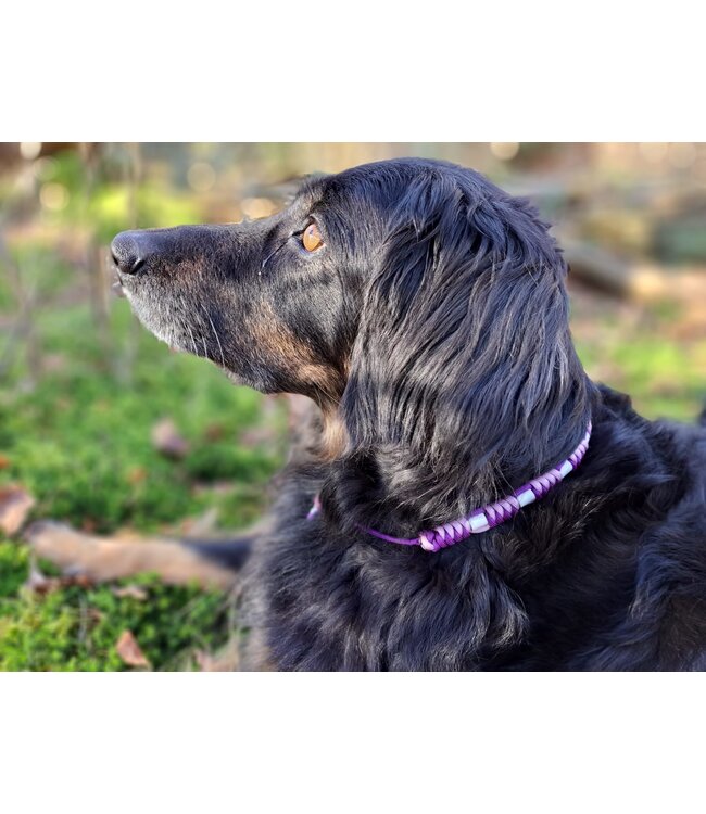 DIY anti-tick collar Signature Purplelicious/Pastel Lilac