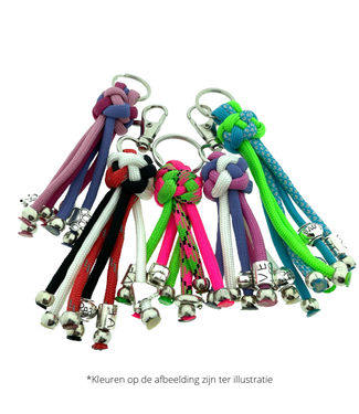123Paracord Do-it-yourself Key ring