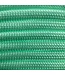 Paracord 550 type III Fresh Mint