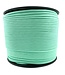 Paracord 550 type III Fresh Mint