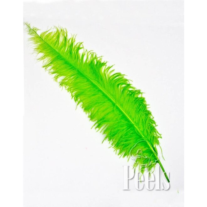 Pieten Veer Spadona groot Fluor Groen
