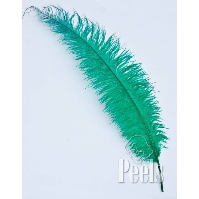 Pieten Veer Spadona groot Fluor Groen