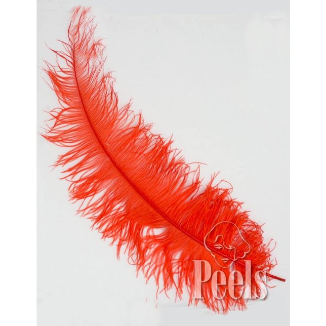 Pieten Veer Spadona groot Rood