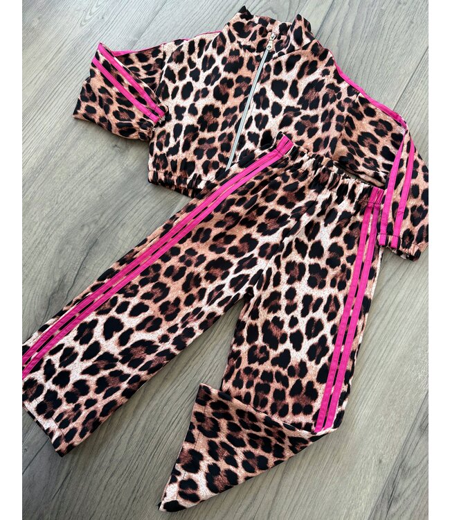 Leopard Fuschia Set