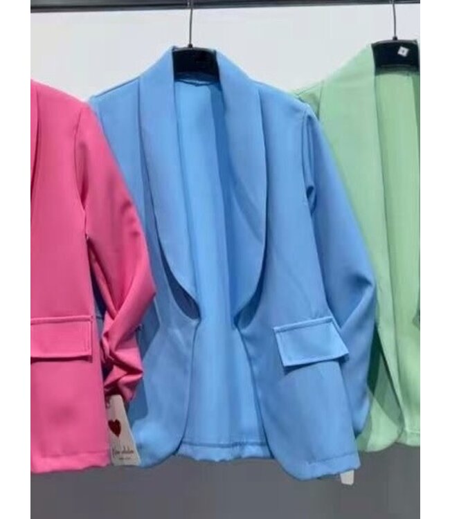 Blazer - Blauw