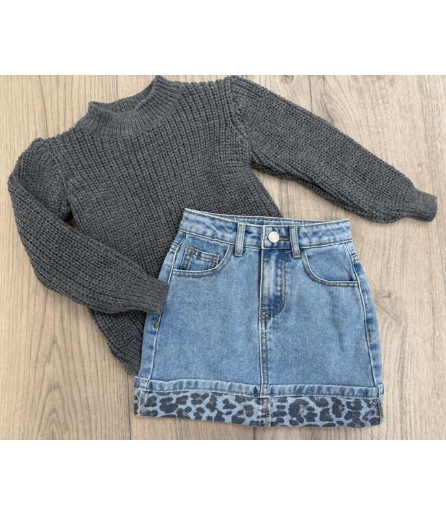 Spijkerrok met Leopardprint