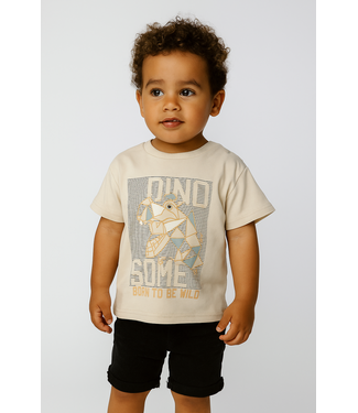 Dirkje  Oversized T-Shirt - Dinosaurus