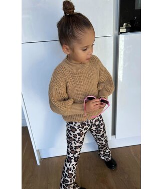 Draakjes en Boefjes Knitted Sweater - Beige