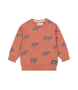 Dirkje  Sweater - Beren