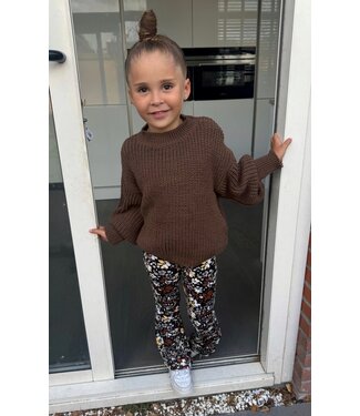 Draakjes en Boefjes Velvet flared broek met bloemenprint