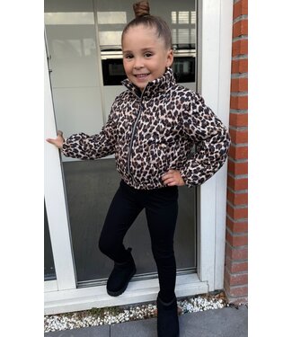 Bomber Basic Jasje - Leopard