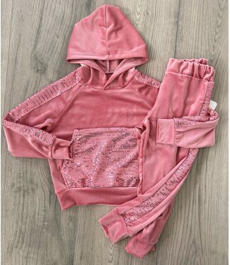 Velvet & Glitter Set - Roze