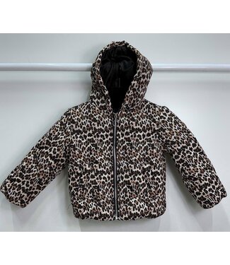 Winterjas - Leopard