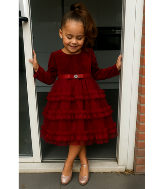 Velvet & Tule Jurk - Rood