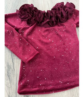 Velvet Sprinkle Top Met Ruches - Bordeaux
