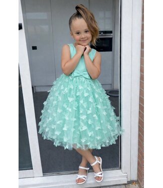 Vlinder jurk - Mint