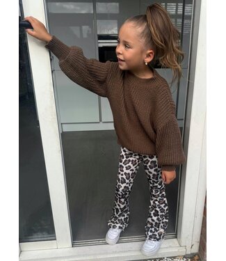 Draakjes en Boefjes Velvet Flared broek met Leopard print