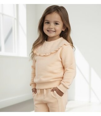 Dirkje  Sweater met grote kraag - Peach