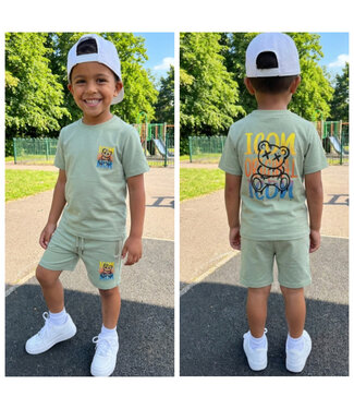 Icon Zomer Set - Sage