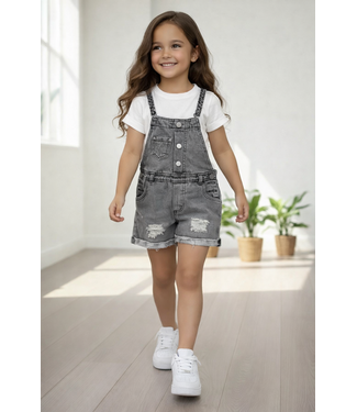 Denim Playsuit (zonder shirt) - Grijs