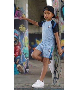 Icon Zomer Set  - Blauw