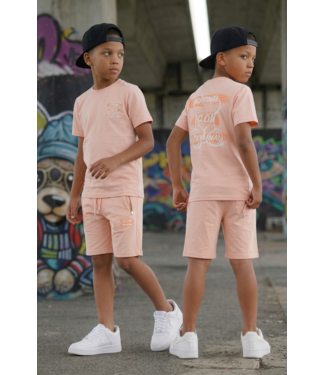 Icon Zomer Set - Zalm  (Verzenddatum 28 mei)
