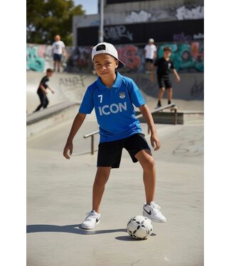 Icon Zomer Set - Blauw