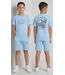 Icon Zomer Set - Blauw