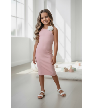 Anna Rose Dress - Roze
