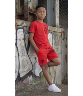 Icon Zomer Set - Rood
