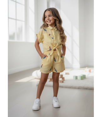 Incredible set - Geel