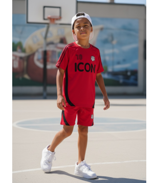 Icon Zomer Set - Rood