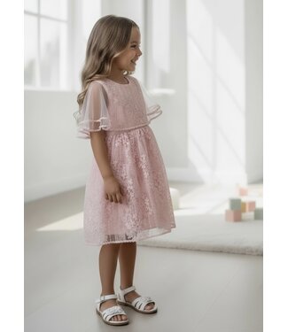 Charm Dress - Zalm