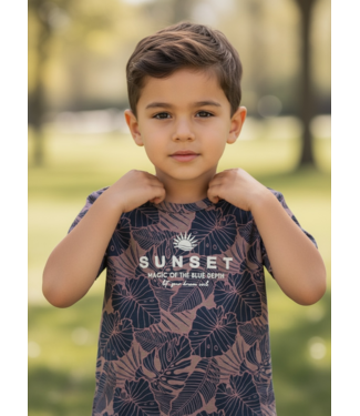 Dirkje  T-Shirt - Sunset
