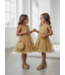 Amore Dress (Met Tasje) - Goud (Verzenddatum 18 juni)