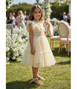 Romance Ruffle Dress - Champagne