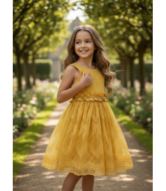 Golden Grace Dress