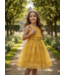 Golden Grace Dress
