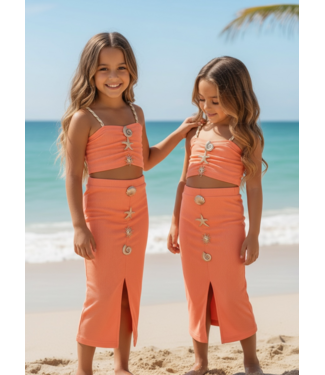 Shells Set - Coral