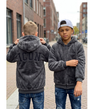 Icon Teddy Reversible Fur Jacket – Grijs (Verzenddatum 24 aug)