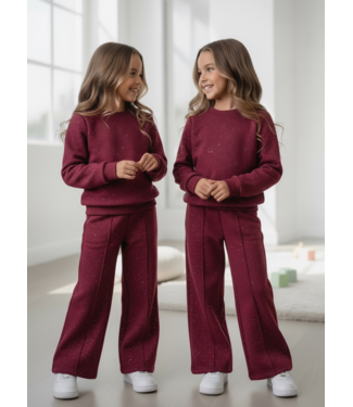 Sparkle Wide Leg Set – Bordeaux