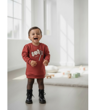Dirkje  Sweet Candy Sweaterdress – Rosewood