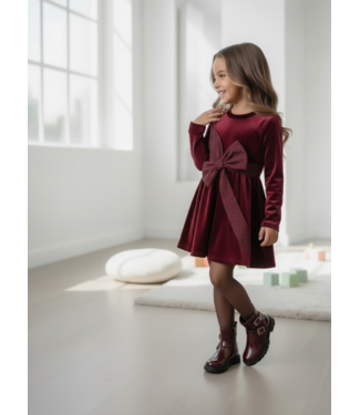 Draakjes en Boefjes Velvet Glitter Bow Dress – Bordeaux