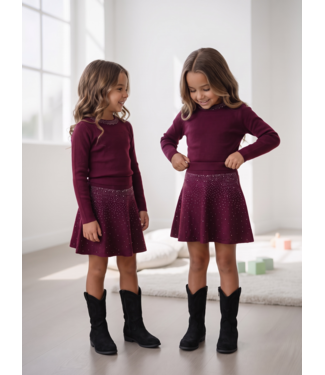 Sparkling Strass Skirt Set – Bordeaux