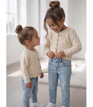 Dirkje  Embroidered Heart Jeans – Licht Blauw