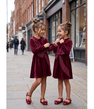 Draakjes en Boefjes Velvet Glitter Bow Dress – Bordeaux