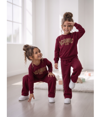 Iconic Leopard Wide Leg Set – Bordeaux