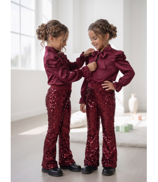 Sparkle Flared Pants – Bordeaux