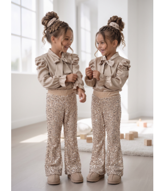 Sparkle Flared Pants – Goud/Beige