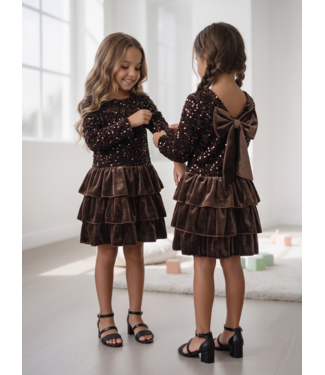 Velvet Bow Sparkle Dress – Bruin